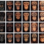 James Mollison Photography: "James & Other Apes" (2004)