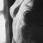 “Torso” by Man Ray, 1923
