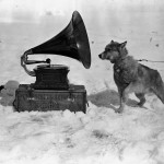 “Dog Chris, listening to the gramophone, Antarctica” by Herbert Ponting, c. 1911