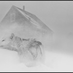 Icelandic photographer Ragnar Axelsson (a.k.a. RAX)