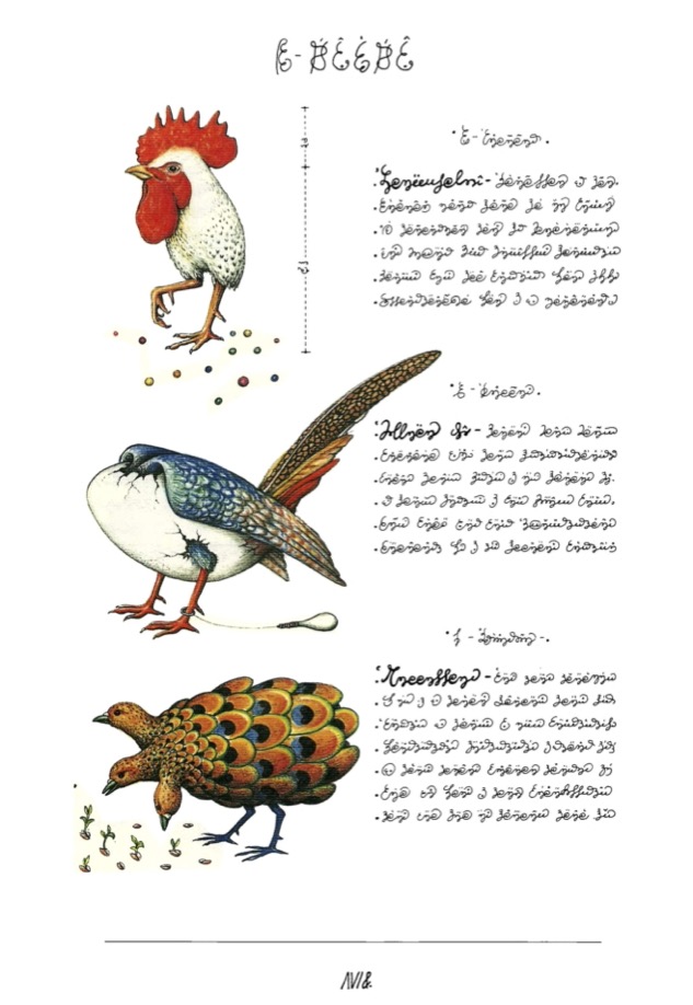 A page from the Codex Seraphinianus