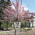 Five Years Ago: The Dawson College shooting