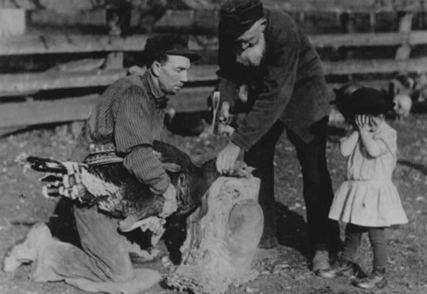 “Killing turkey” by Reuben R. Sallows, Huron County, Ontario (Canada), 1912.